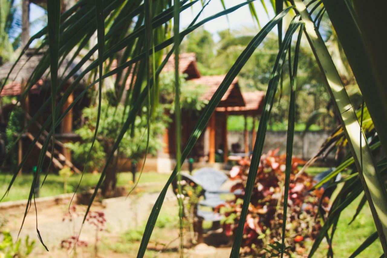 Hotel Clay House Udawalawe Zewnętrze zdjęcie